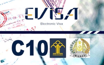 Visitor visa