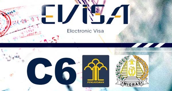 Visitor Visa