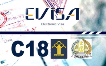 Visitor Visa
